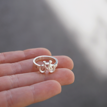 Cargar imagen en el visor de la galería, Anillo Bicio