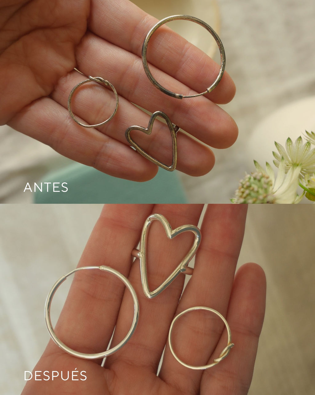 Kit Limpia Plata