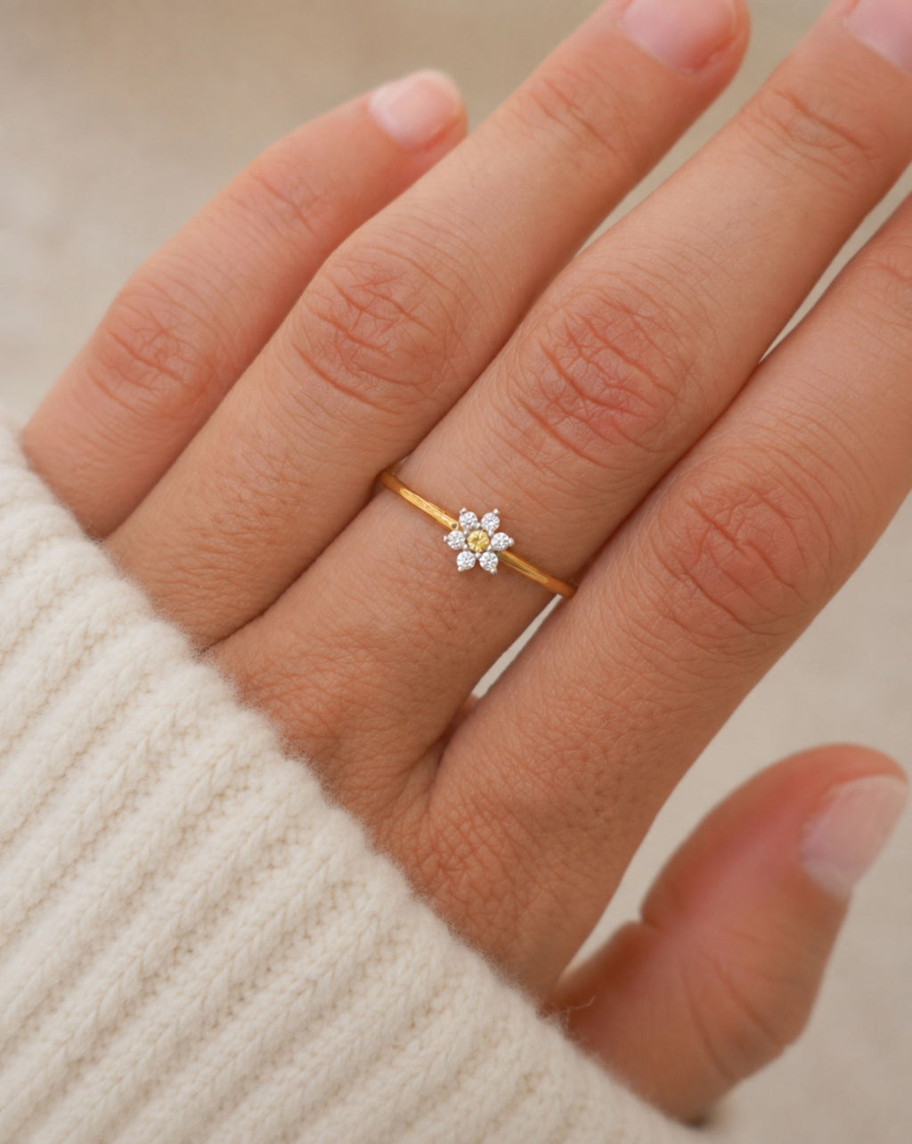 Anillo Marga