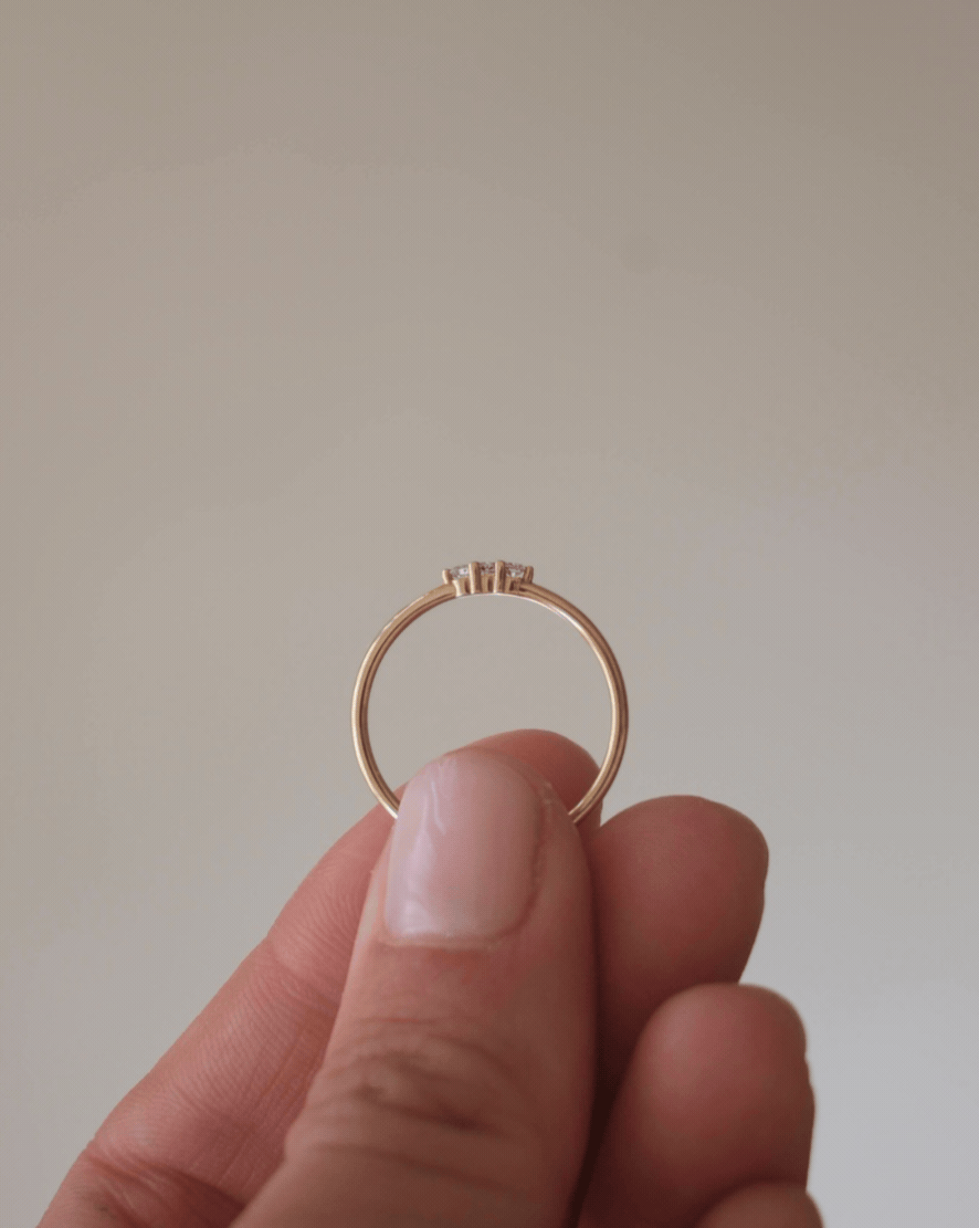 Anillo Teo