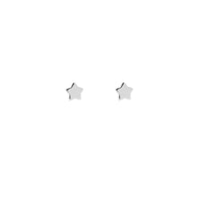 Load image in gallery viewer, &lt;tc&gt;Star and Moon Earrings&lt;/tc&gt;